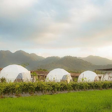 מגלאנג Borobudur Luxury Glamping מראה חיצוני תמונה