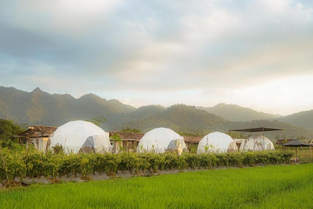 מגלאנג Borobudur Luxury Glamping מראה חיצוני תמונה