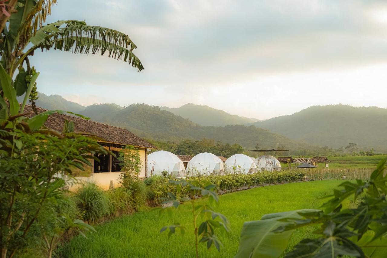 מגלאנג Borobudur Luxury Glamping מראה חיצוני תמונה