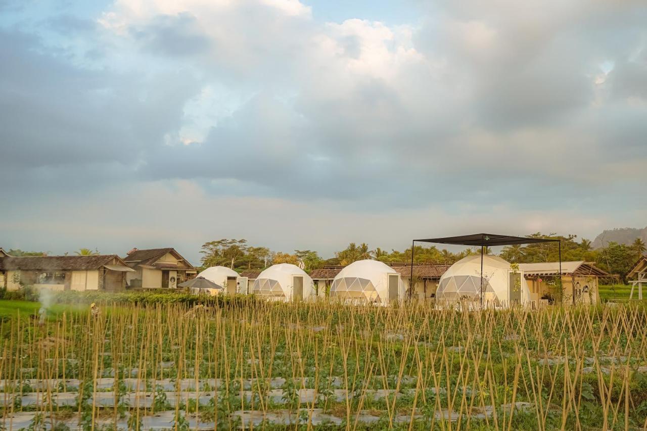 מגלאנג Borobudur Luxury Glamping מראה חיצוני תמונה
